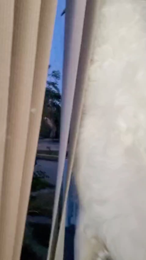 004d2e15-5041-4d3a-a5e5