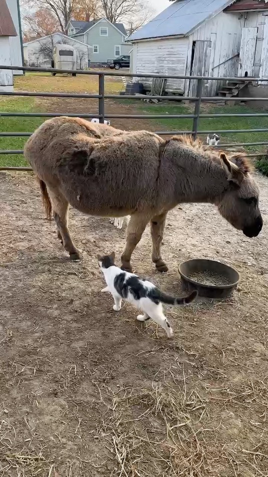 0fadda33a7c54978b93d74628c6