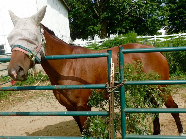 1Q%aUmr4SdCIIc%x9EFE0A_thumb_2055