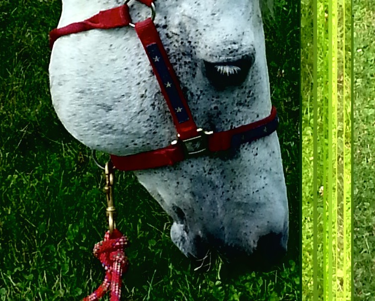 20140920_142538 - Version 2