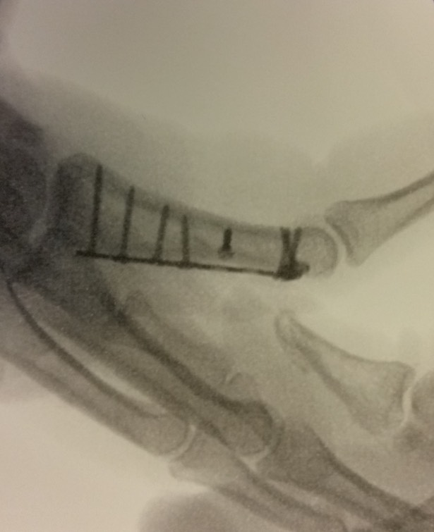 20141105_173404 - Version 2