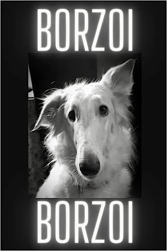 317TUJwCZnL._SX331_BO1,204,203,200_