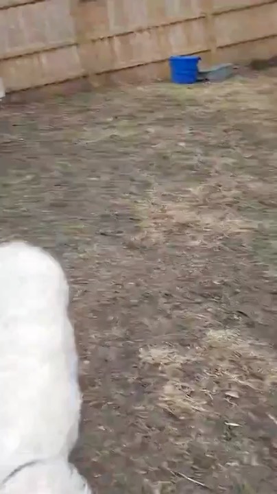 5427d000-3436-4572-a4d7