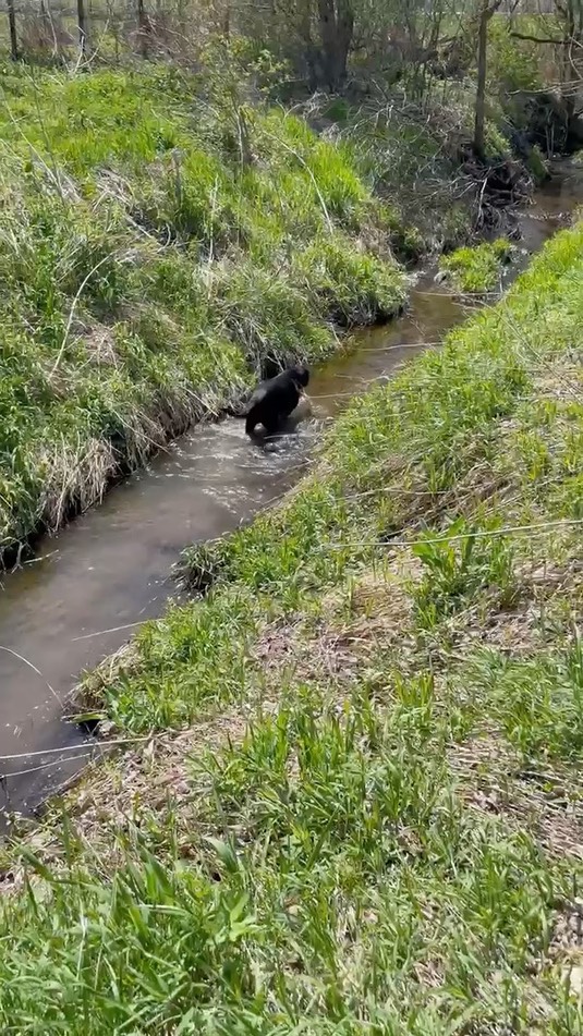 6c3fa6ae0ccf4deaad8cd3e330e