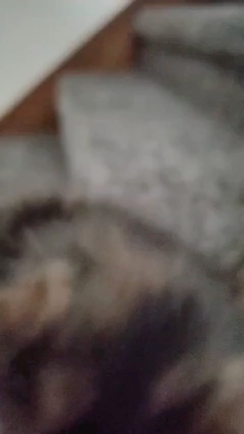 6e2d1c46-e1dd-4d88-985b