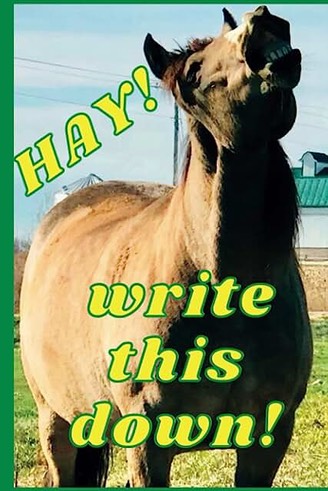 71EoTtLhwuL._AC_UL640_QL65_