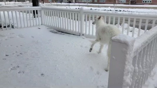 8e5c443a-b9a9-48fb-8d6b