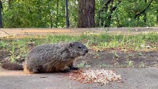 a5873215-0545-4dc5-825d