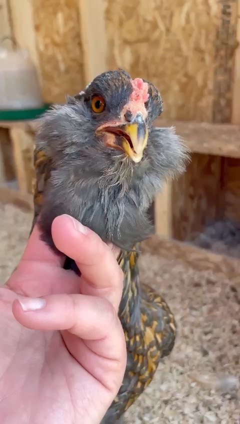 aae80873-84de-4ef7-826c