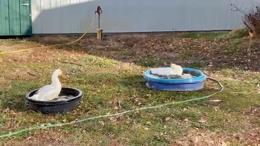 d6ac1937-868b-44d7-9064