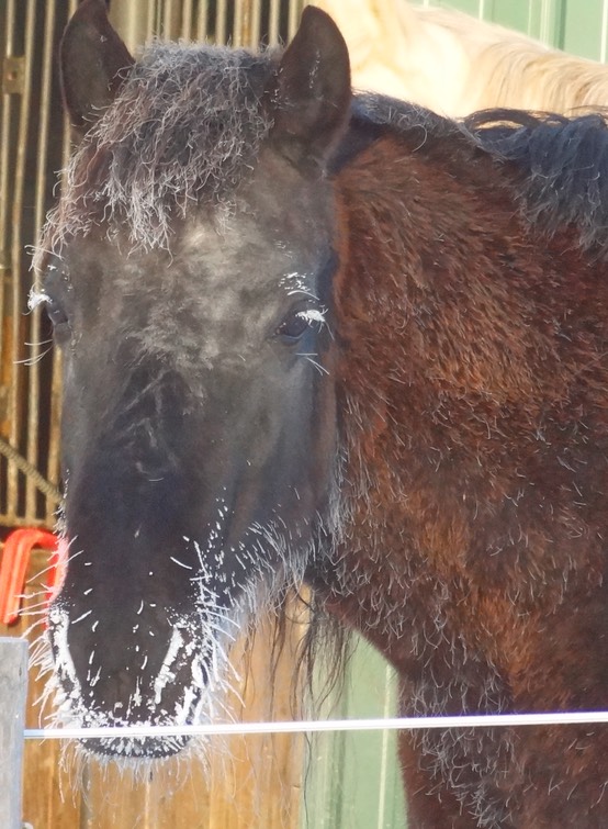 DSC04738 - Version 2