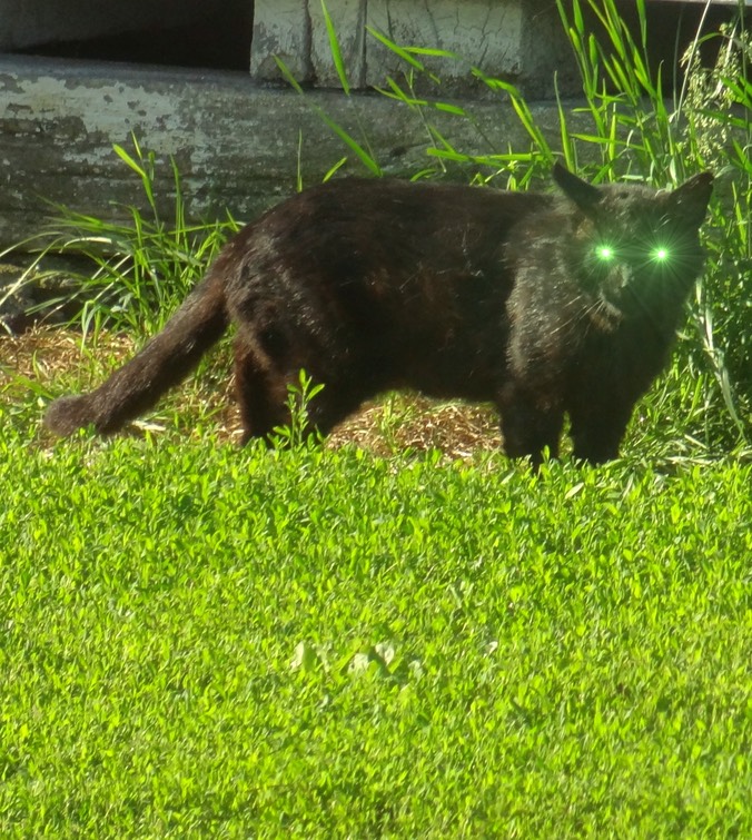 DSC05281 - Version 2