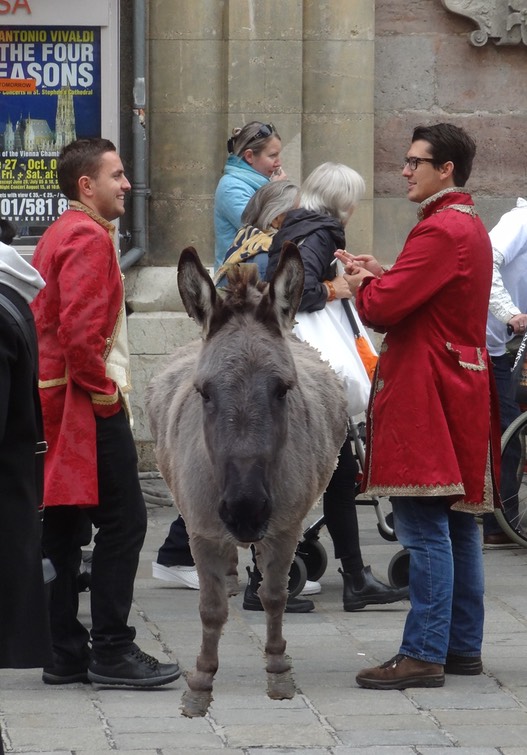 DSC06362 - Version 3