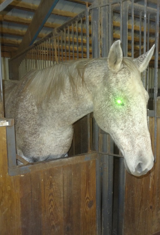 DSC06556 - Version 2