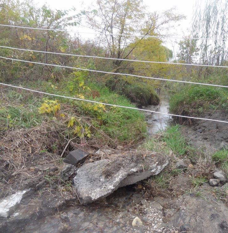 DSC06569 - Version 2