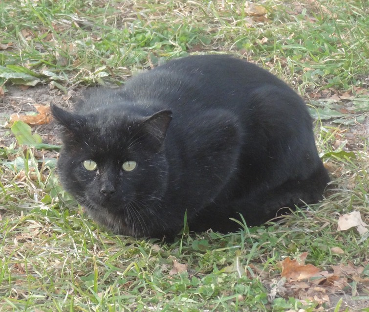 DSC06645 - Version 2