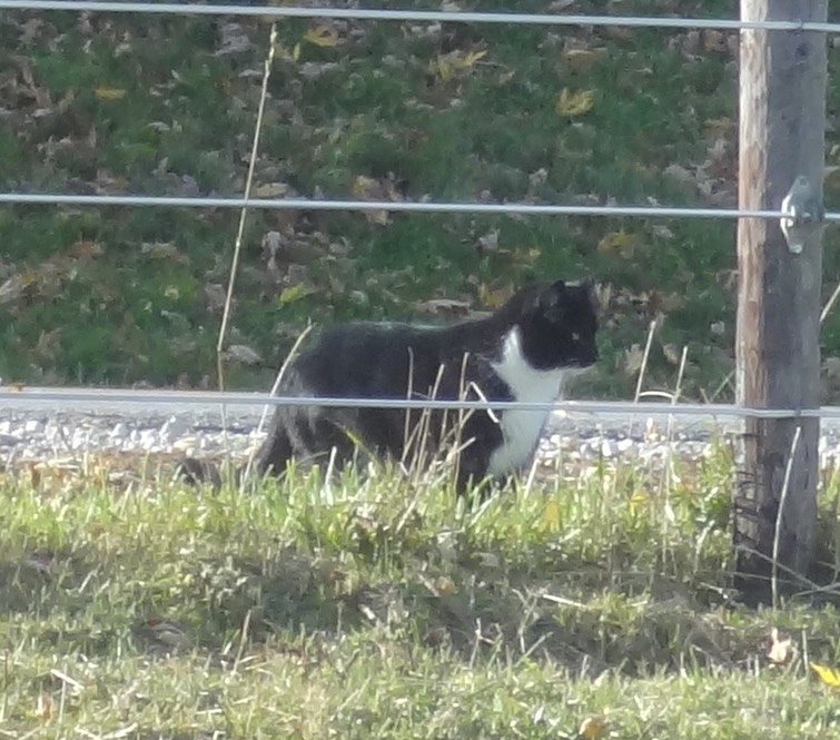 DSC06649 - Version 2