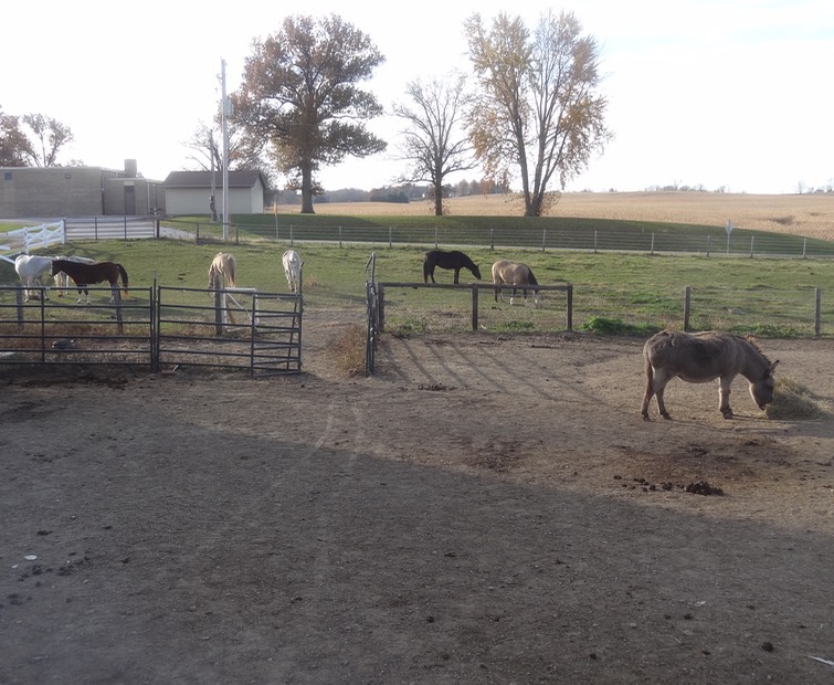 DSC06651 - Version 2