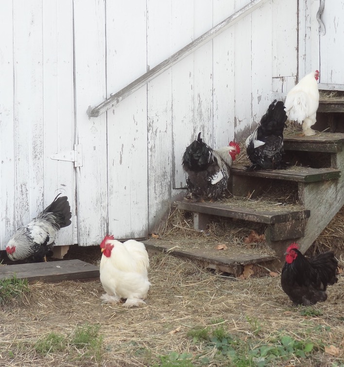 DSC06657 - Version 2