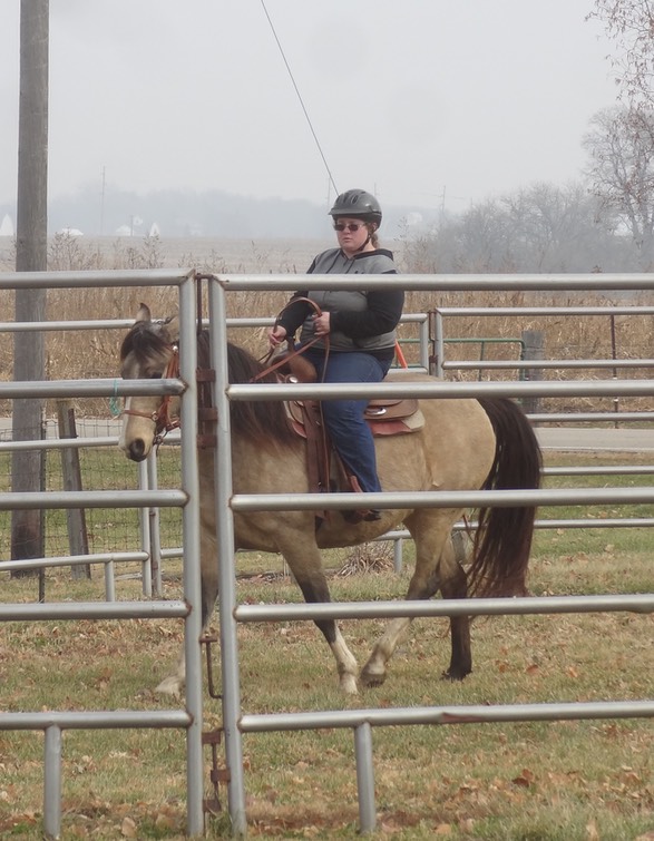 DSC06822 - Version 2