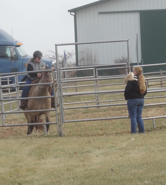 DSC06825 - Version 2