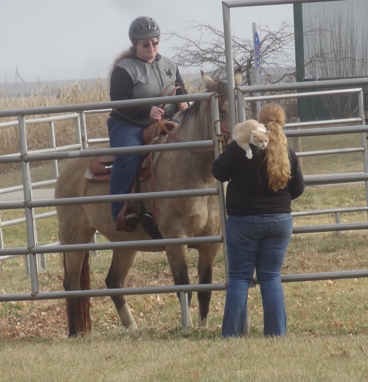 DSC06827 - Version 2