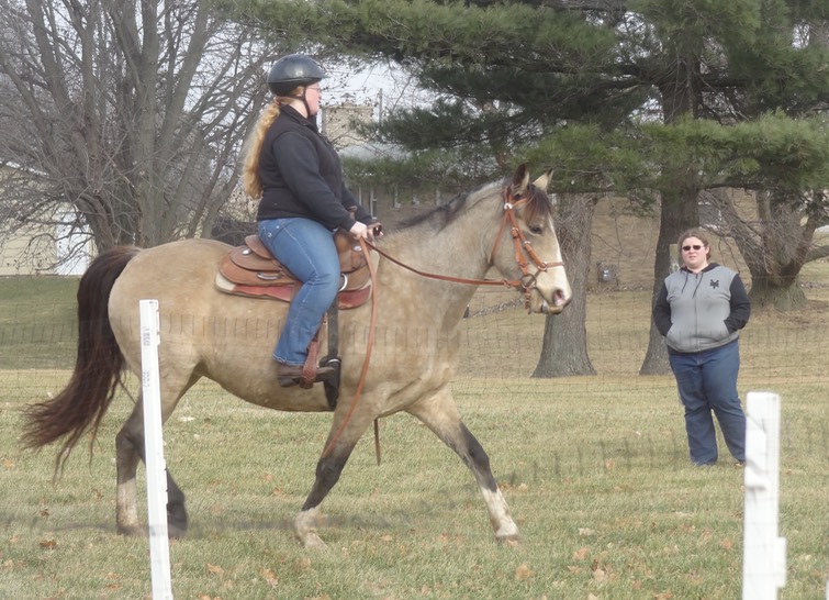 DSC06834 - Version 2