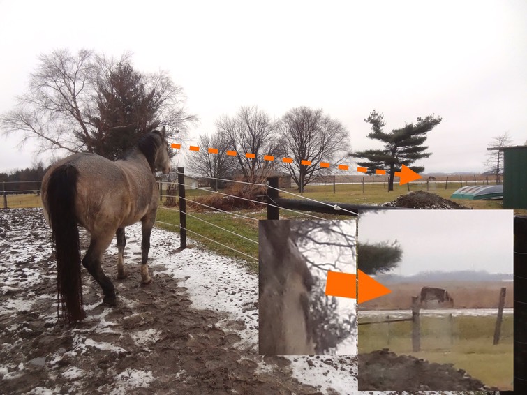 DSC06951 - Version 2