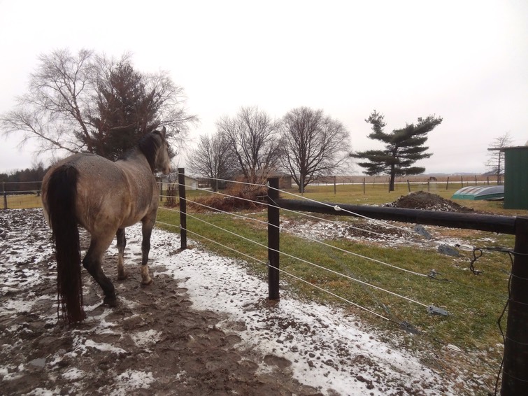 DSC06951 - Version 3