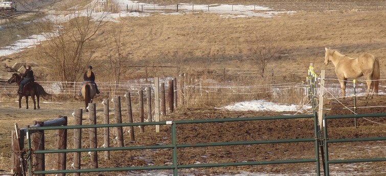 DSC07052 - Version 2