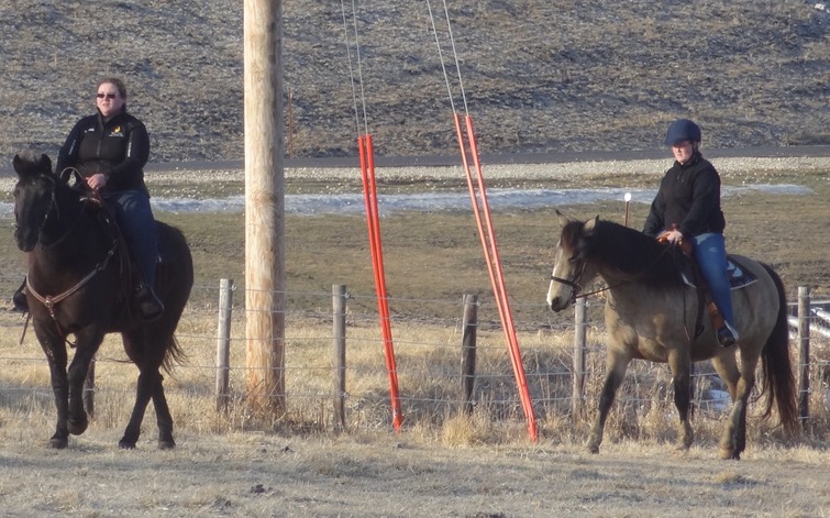 DSC07054 - Version 2