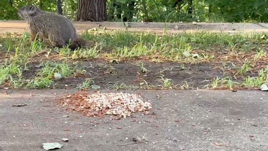 e7cefe8f-288e-47d9-9219