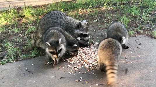 my-movie-for-website