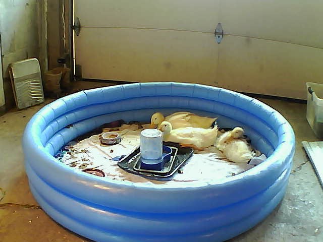 snapshot_00626E4790A9_20150512171853