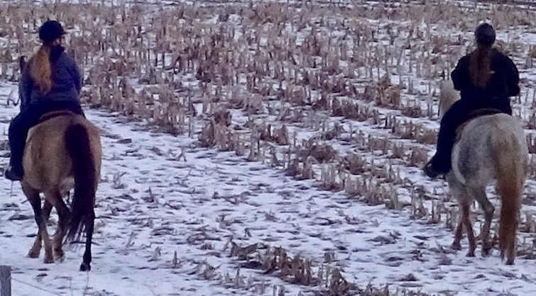 thumb_DSC00207_1024 2